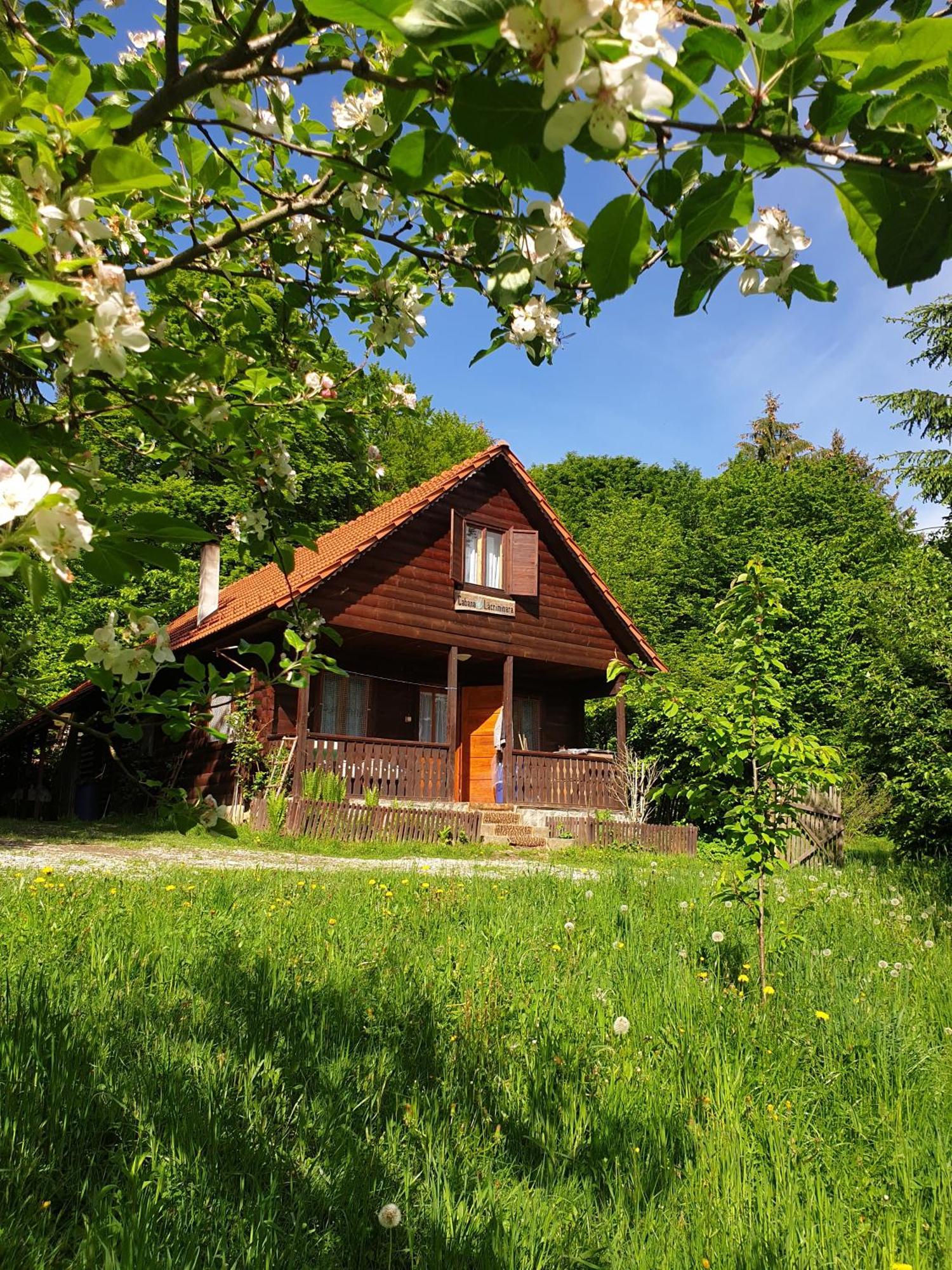 Casa Lacramioara Villa Sîmbăta de Sus Eksteriør billede