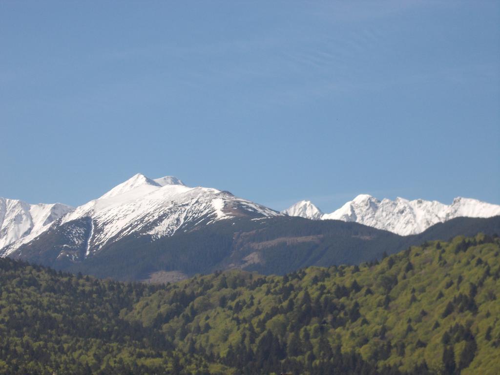 Casa Lacramioara Villa Sîmbăta de Sus Eksteriør billede